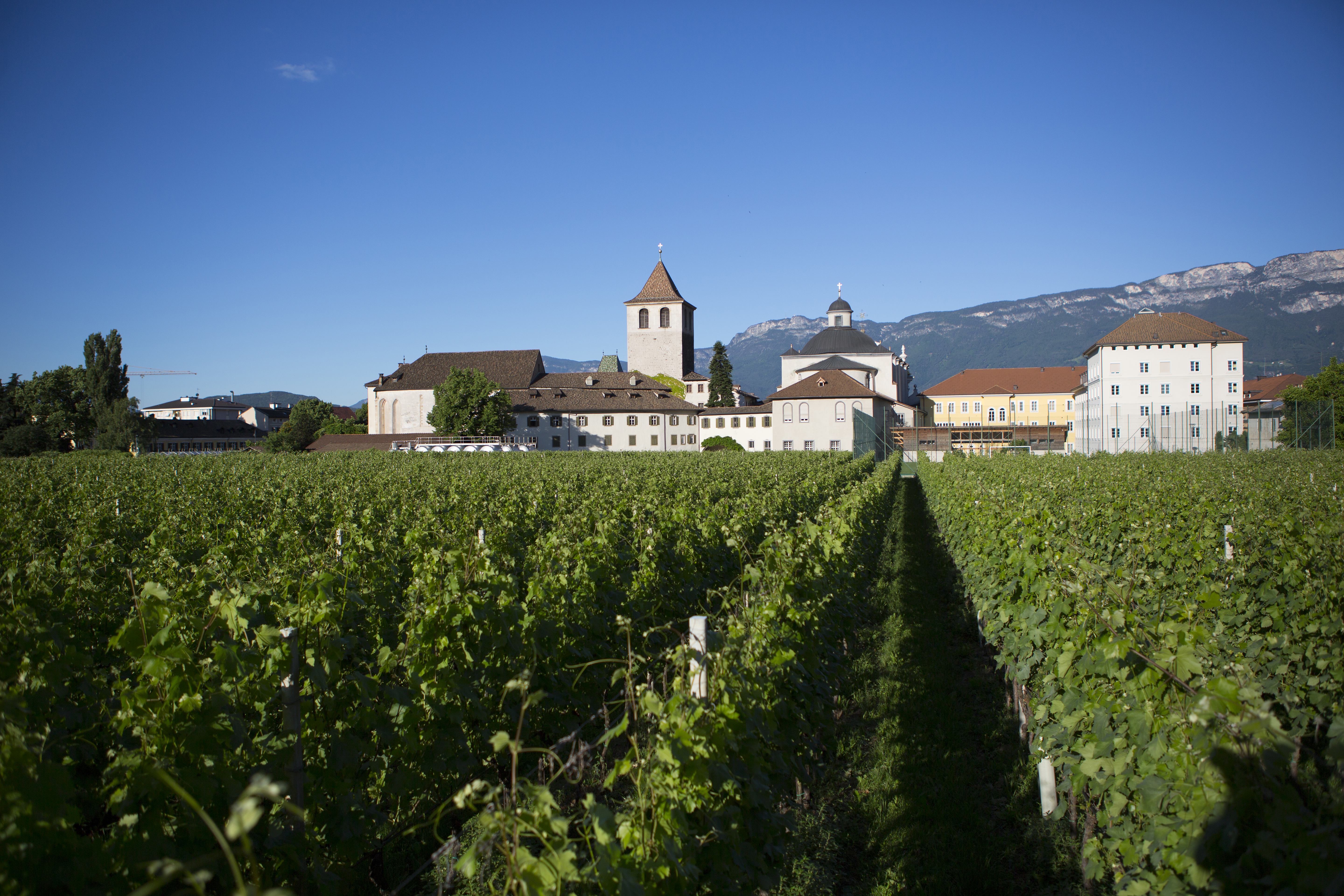 Klosteranger Frühling 13